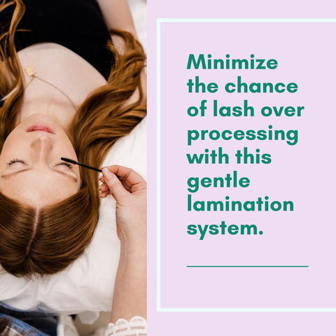 Online Elleeplex Profusion Lash Lamination Course